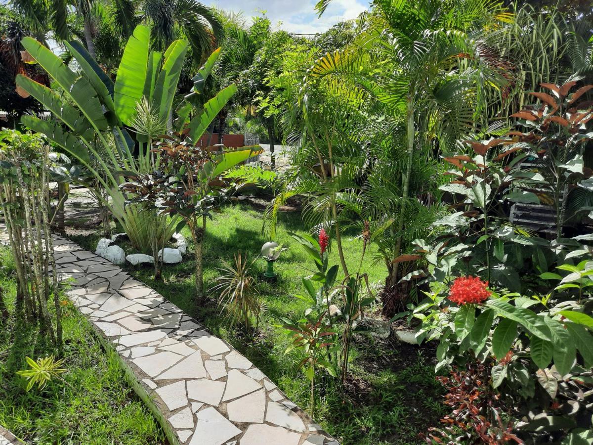 Appartement Le Jardin de Massieux à Bouillante Extérieur photo