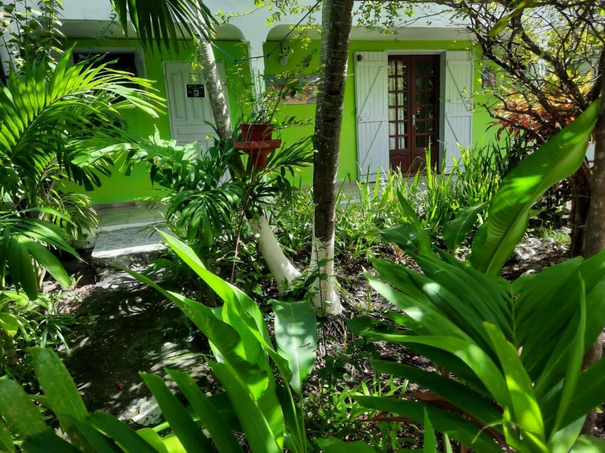 Appartement Le Jardin de Massieux à Bouillante Extérieur photo